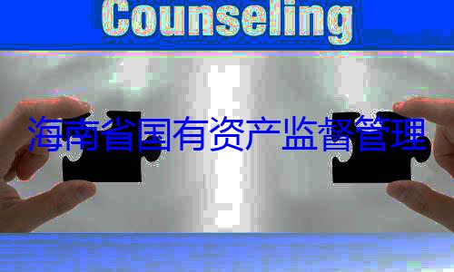 资产监督管海南省国有有福接受审委副书记王理委员会党查调查